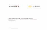 Gasnetzzugang Schweiz (Los 3) - admin.ch