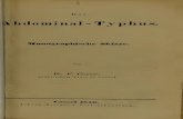 Der Abdominal-Typhus : monographische Skizze