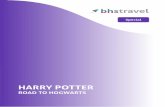 HARRY POTTER - BHS Travel