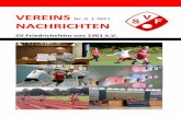 VEREINS Nr. 9 1-2021 - SV Friedrichsfehn