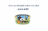 Geschäftsbericht 2016 des Riesgau Nördlingen