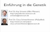 Einführung in die Genetik - plantdev.wzw.tum.de