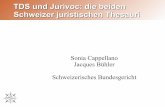 TDS und Jurivoc: die beiden Schweizer juristischen Thesauri