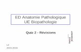 ED Anatomie Pathologique UE Biopathologie