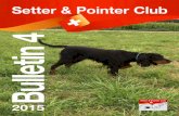 Setter & Pointer Club