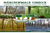 Märchenwald Einbeck - Urwald von morgen entdecken