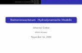 Bakterienwachstum: Hydrodynamische Modelle