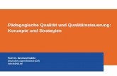 Pädagogische Qualität und Qualitätssteuerung: Konzepte und ...
