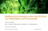 Waldbauliche Strategien unter dem Einfluss von Kalamitäten ...