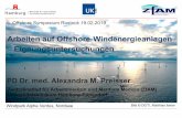 Arbeiten auf Offshore -Windenergieanlagen