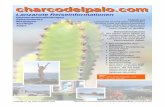 Lanzarote Reiseinformationen - Charco del Palo