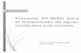 Procesos PP-WAO para el tratamiento de aguas residuales ...