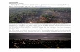 Katastrophe mit Ansage: Brände im Amazonas könnten globale ...