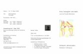 Knie, beweglich und stabil - shibashi-net
