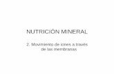 Clase08by09 - Nutricion mineral 2