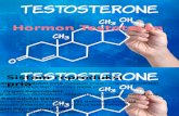 Hormon Testosteron