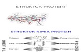 1. Struktur Protein