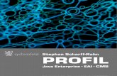 Systemfeld - Profil Stephan Scharff-Rahn - Java, Core Media, ActiveMQ, Camel, SOA, REST(1)