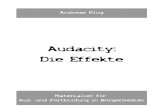 Audacity - Die Effekte