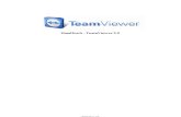 Team Viewer Manual De