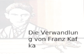 Die Verwandlung von Franz Kafka. Gliederung. Literatur der Existenz. Die Biographie von Franz Kafka. Die Verwandlung. Themen. Referenz