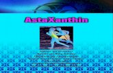 Astaxanthin eBook