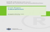 GUV-R 120 'Laboratorien' - uni-ulm.de .GUV-R 120 (bisher GUV 16.17) Regeln f¼r Sicherheit und Gesundheitsschutz
