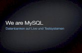 We are MySQL - Datenbanken auf Live und Testsystemen
