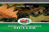 Herbst 2014 - baum-rosenschule- ...baum-rosenschule- Baum- osenschule ¼ller Einleitung Sehr geehrte