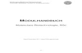 Molekulare Biotechnologie, Studiengang Molekulare Biotechnologie Universit£¤t Heidelberg, Fakult£¤t