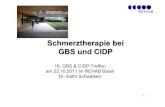 Schmerztherapie bei GBS und CIDP - .Schmerztherapie bei GBS und CIDP 16. GBS & CIDP-Treffen am 22.10.2011
