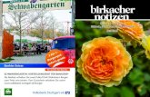 Bankier Extras - Birkacher Notizenbirkacher-    2 30 Jahre Birken-Apotheke 30 Jahre sind