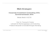 Corporate Investment Controlling (CIC) .Joint Ventures, Projekt- oder Lizenzkooperationen ... Schaeffler/Conti,