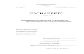 FACHARBEIT - .Paul Pfinzing Gymnasium Hersbruck Kollegstufe Abiturjahrgang 2003/2005 FACHARBEIT aus
