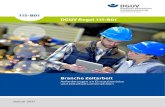 DGUV Regel 115-801 â€‍Branche Zeitarbeit â€“ .Branche Zeitarbeit Anforderungen an Einsatzbetriebe