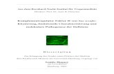 Klonierung, funktionelle Charakterisierung und molekulare ...ediss.sub.uni- Alternative Weg (Alternative