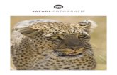 SAFARI- FOTOGRAFIE - .safari- fotografie inhaltsverzeichnis 1 vorwort 3 die fotoausrœstung 17 aufnahmetechnik