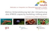 Aktive Unterst¼tzung bei der Umsetzung des IPBES capacity ... Aktive Unterst¼tzung bei der Umsetzung