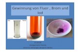Gewinnung von Fluor , Brom und Iod 2003 - â€¢ Fluor , Brom und Iod geh¶ren zu den Halogenen (Salzbildner)