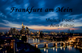 Frankfurt presentation