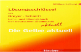 Die Gelbe Aktuell - Dreyer Schmitt - L¶sung
