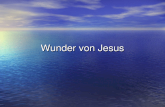 Wunder von Jesus