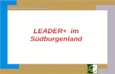 LEADER+ im S¼dburgenland. Inhalt: I.Erfahrungen LEADER+ II.LEADER-Projekte III.LEADER - Zukunft