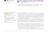 Systemische Therapien des Ulcus cruris Deutsche Dermatologische Gesellschaft DDG. Published by John