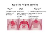 Typische Angina pectoris - bayerische .Typische Angina pectoris Was? Druckschmerz Engegef¼hl Brennen