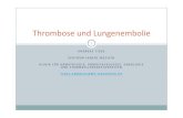 Thrombose und Lungenembolie - .thrombose und lungenembolie 1 andreas tiede zentrum innere medizin