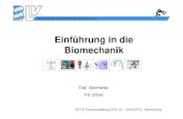 Einf¼hrung in die Biomechanik - blv-sport.de .Bayerischer Leichtathletik-Verband e.V. BLV B-Trainerausbildung