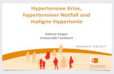 Hypertensive Krise, hypertensiver Notfall und maligne ...oberbayerische- .Plazenta-Durchblutung zu