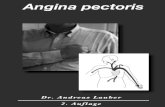 Was ist Angina pectoris? - .Stabile Angina pectoris: â€‍Stabilâ€œ bedeutet, da Angina pectoris