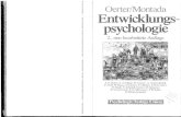 Psychologie - PsyDok: Zur .414 Die geistige Entwicklung aus de rSicht Jean Piagets 2. Vier Hauptstadien